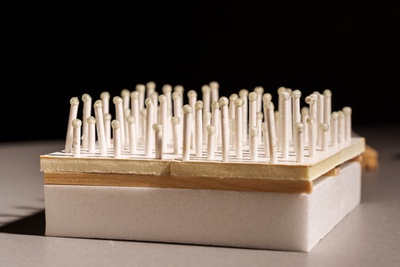 Projekt: Tapioca House / Jade Apack (Paris)