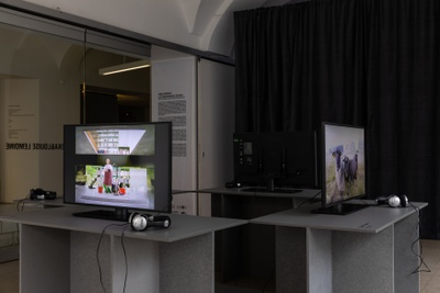 Ausstellung im HDA / Exhibition at HDA