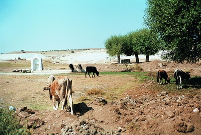 ort.03