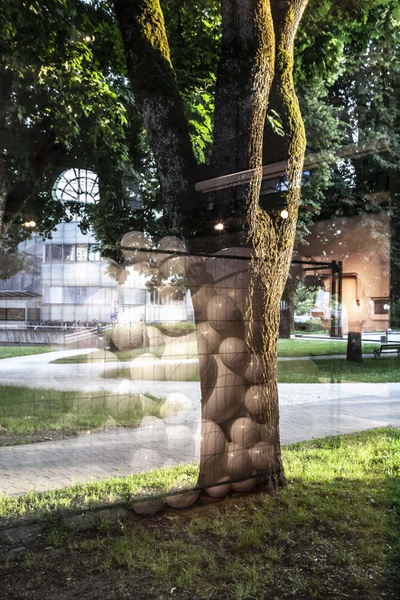 Ausstellung "Zu Vermieten"