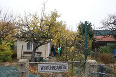 Grün, Grün, nur du allein