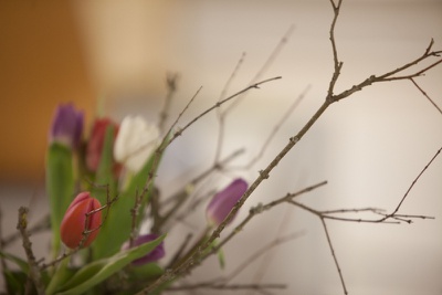 Anonyme Architektur in Bulgarien