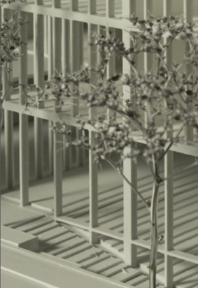 "architekturdiplome 11 - 13"