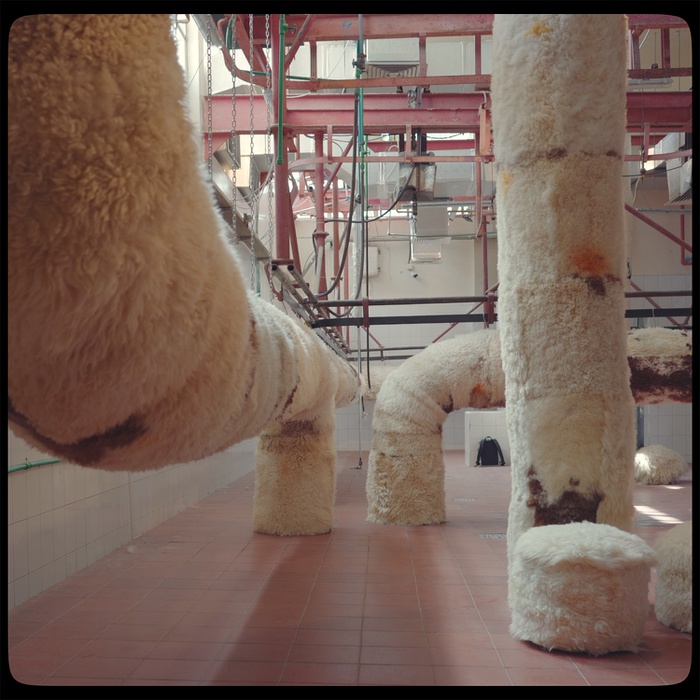 Installation by Adrian Pepe in an Old Slaughterhouse