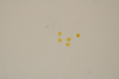 Das Haus des Staunens - Pankratium Gmünd