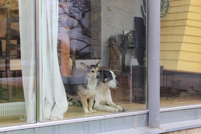 Exkursion Holzbaupreis Kärnten 2013 – warm anziehen
Planung: winkler+ruck architekten