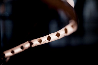 LUFTWURZLER - EINE INSTALLATION MIT BAMBUS – von Anna Rubin