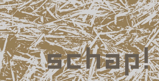 schap! 2011  .  primary school