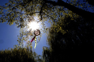 Shibor - Papierdrachenbauen