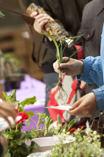 IM FREIEN… FINISSAGE