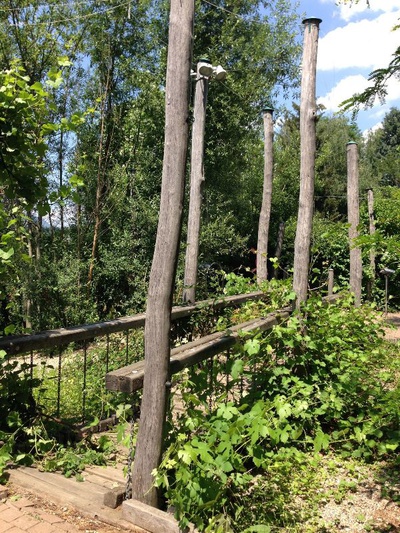 Stadt Gärten Parks Spiel Plätze in Klagenfurt