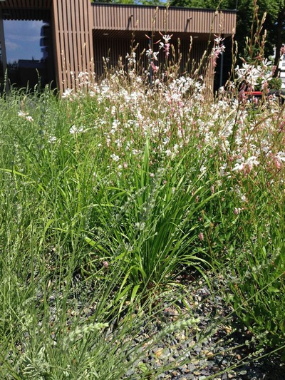Stadt Gärten Parks Spiel Plätze in Klagenfurt