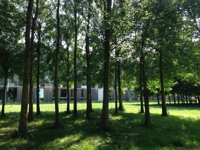 Stadt Gärten Parks Spiel Plätze in Klagenfurt