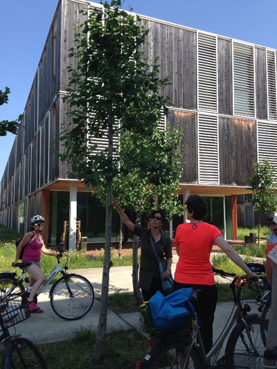 Stadt Gärten Parks Spiel Plätze in Klagenfurt