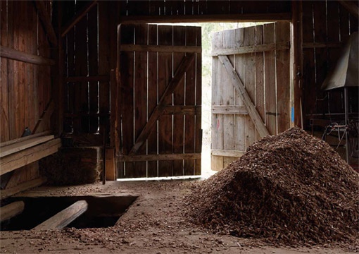 Territorien des Selbst