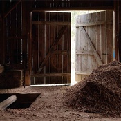 Territorien des Selbst