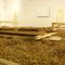 ARCHITEKTUR IM SCHLAF 06.08.2015