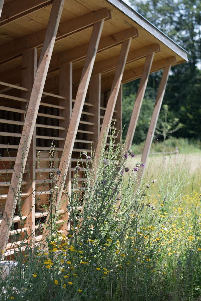 Ausflug Bienenhaus