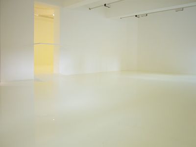 Blick in die Ausstellung im aut, Susanna Fritscher: Wandmalerei, Foto: Laurent Tessier