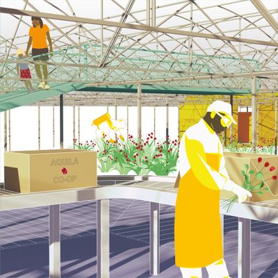 Projekt "Agro Commune" in Kenia von Office of Human Ressources