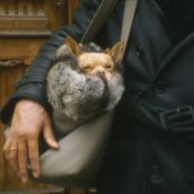 Filmstill 8.-9.12.2020