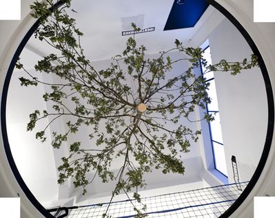 Com&Com: Making Identities – Blick in die Ausstellung