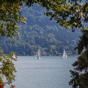 Wörthersee